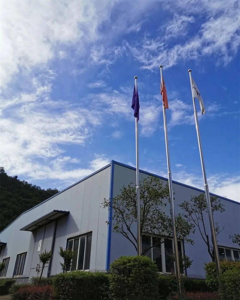 宝鸡市渭滨区人大代表团莅临万合实业参观调研