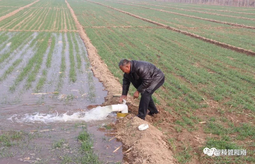  常用的灌溉方法有哪些