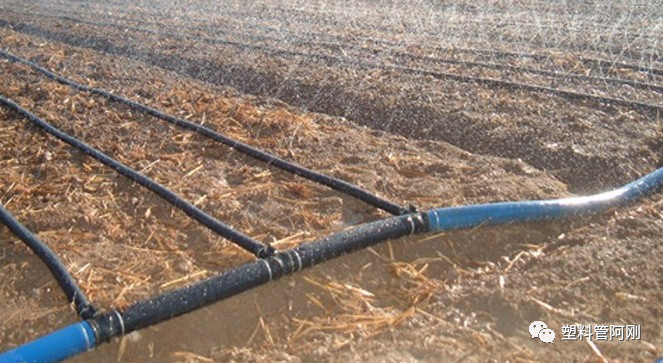  常用的灌溉方法有哪些